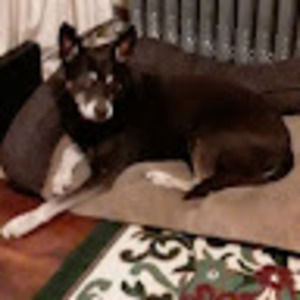 Meet your Posher, Krislyn